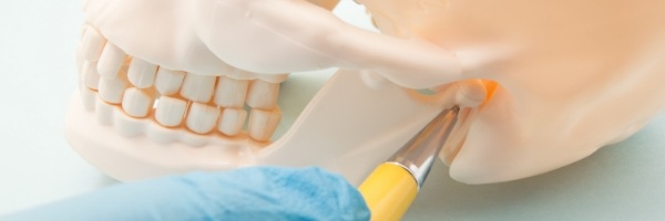 Occlusal Equilibration model